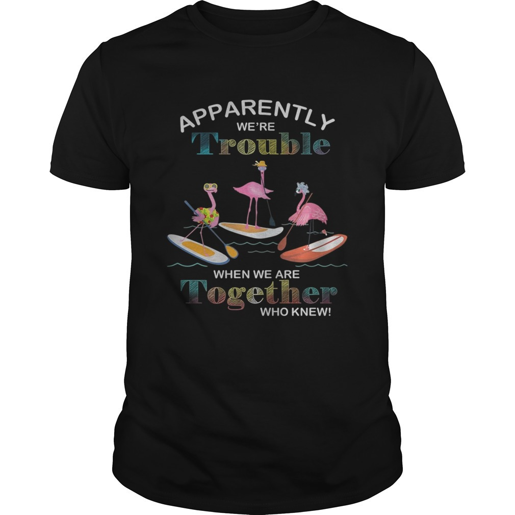 Flamingo Surfing Apparently Were Trouble When We Are Together Shirt